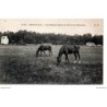 92 - Chaville - Les Haras dans la Fôret de Meudon - Dos Divisé