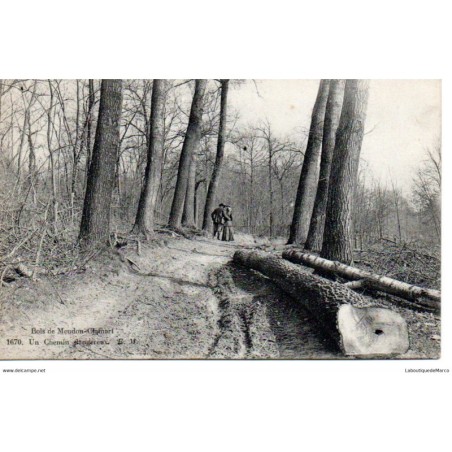 92 - Meudon-Chamart - Le Bois - Un chemin dangereux - Dos Divisé