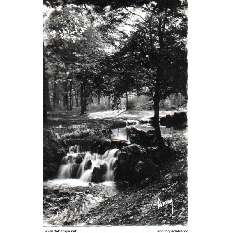 94 - Vincennes - Le Bois - Cascade sur le Ruisseau - Dos Divisé