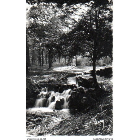 94 - Vincennes - Le Bois - Cascade sur le Ruisseau - Dos Divisé