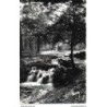 94 - Vincennes - Le Bois - Cascade sur le Ruisseau - Dos Divisé