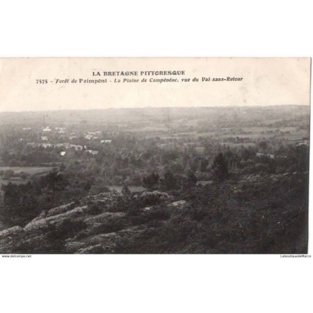 35 - Forêt de Paimpont - La Plaine de Campénéac - Dos Divisé