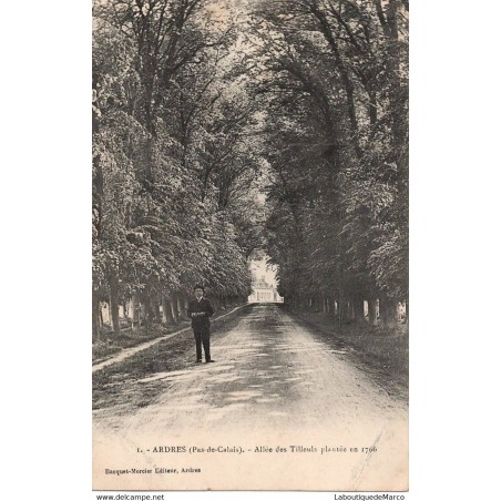 62 - Ardres - Allée des Tilleuls plantée en 1766 - Dos Divisé - Vintage