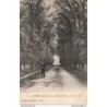 62 - Ardres - Allée des Tilleuls plantée en 1766 - Dos Divisé - Vintage