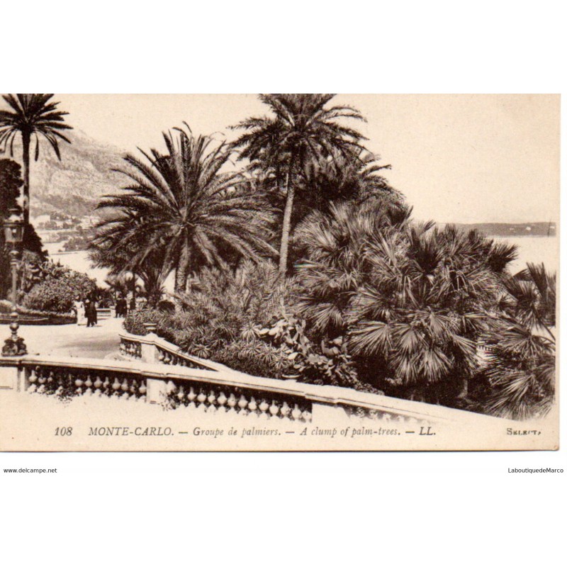 Monaco - Monte Carlo - Groupe de Palmiers - Dos Divisé