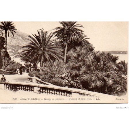 Monaco - Monte Carlo - Groupe de Palmiers - Dos Divisé