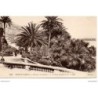 Monaco - Monte Carlo - Groupe de Palmiers - Dos Divisé