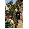 Monaco - Les Jardins Exotiques - Dos Divisé