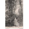 58 - St-Honoré-les-Bains - Cascade du Désert - Dos Divisé