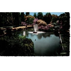 03 - Vichy - Le Bassin des Cygnes - Dos Divisé