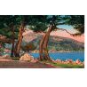 06 - Menton - Vue prise du Cap Martin - Dos Divisé