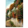 06 - Menton - Chemin Fleuri à la Frontière - Dos Divisé