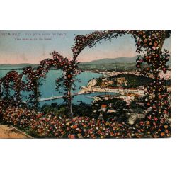 06 - Nice - Vue prise entre les Fleurs - Dos Divisé