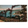 06 - Nice - Vue prise entre les Fleurs - Dos Divisé