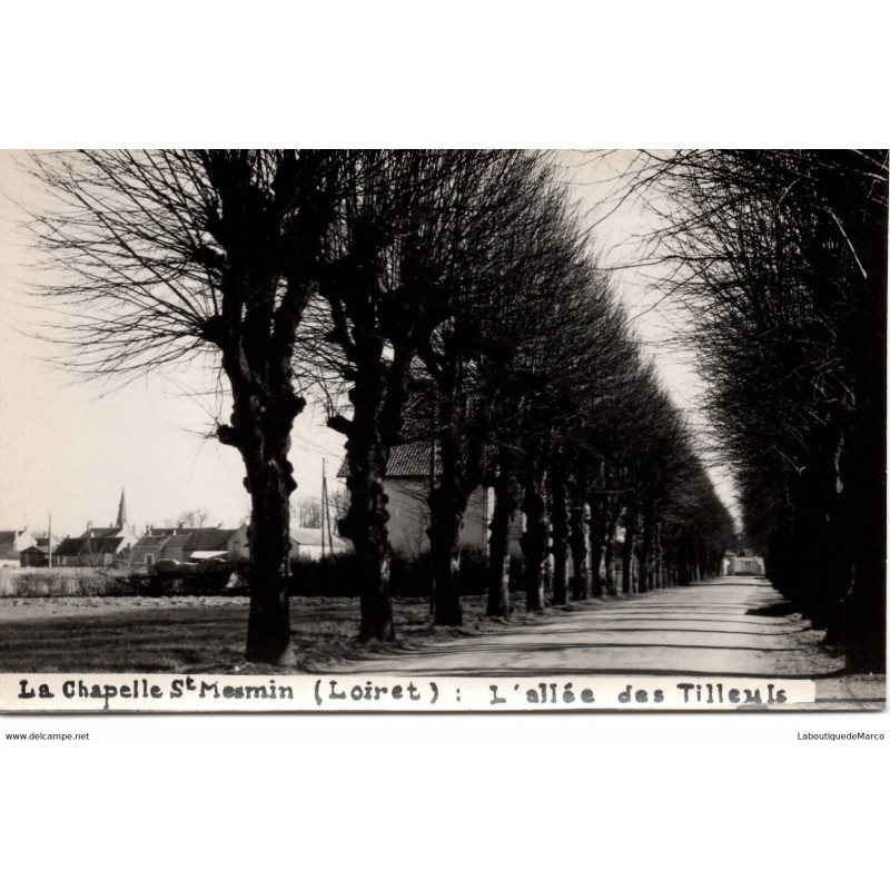 45 - La Chapelle St-Mesmin - Dos Divisé
