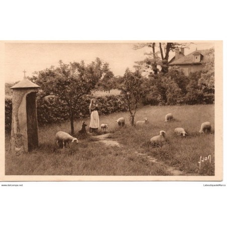 58 - Couvent St-Gildard - Ste Bernadette et ses moutons - Dos Divisé