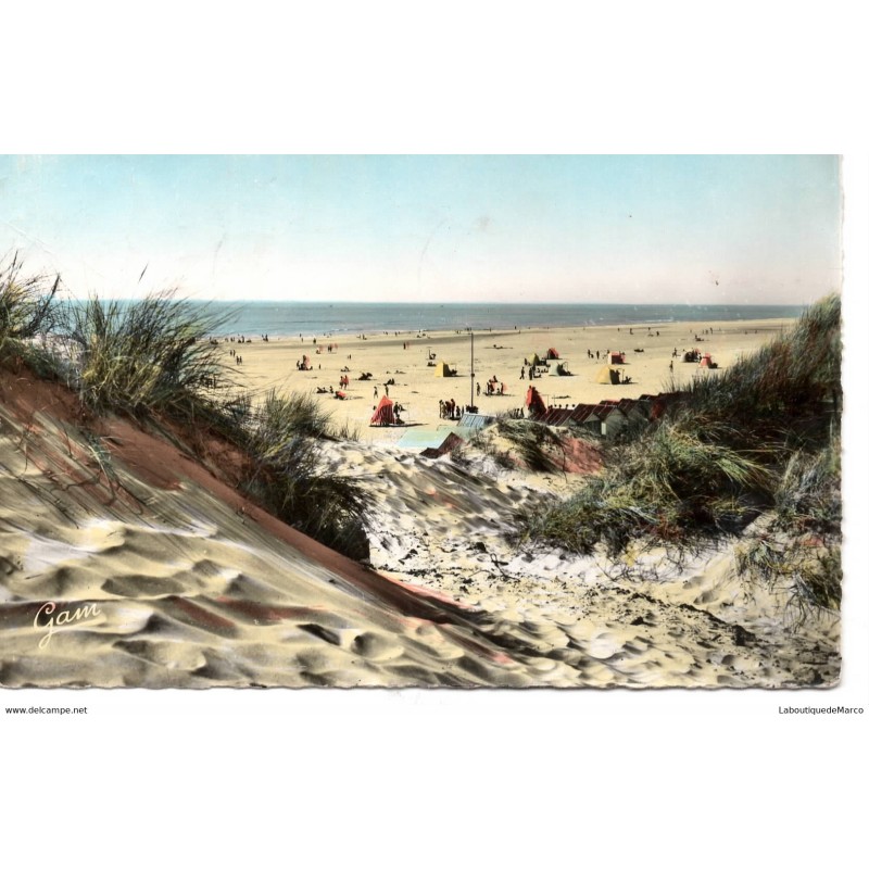 62 - Stella-Plage - La Plage vue des Dunes - Dos Divisé
