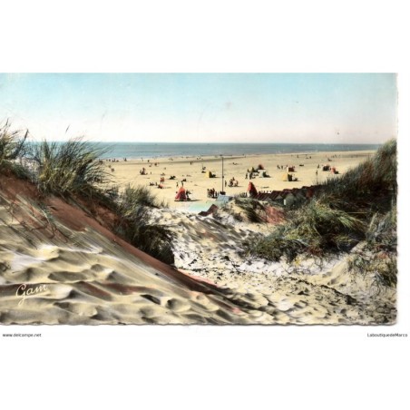 62 - Stella-Plage - La Plage vue des Dunes - Dos Divisé