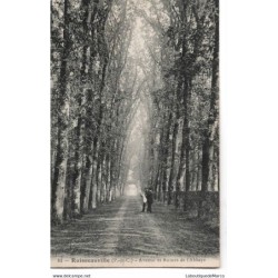 62 - Ruisseauville - Avenue...