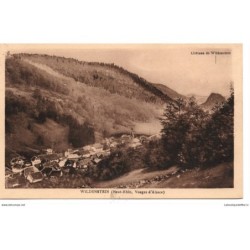 67 - Wildenstein - Le...
