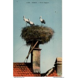 67 - Alsace - Nid de...