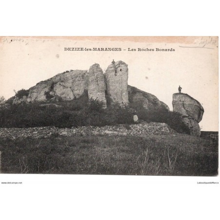 71 - Dezize-les-Maranges - Les Roches Bonards - Dos Divisé