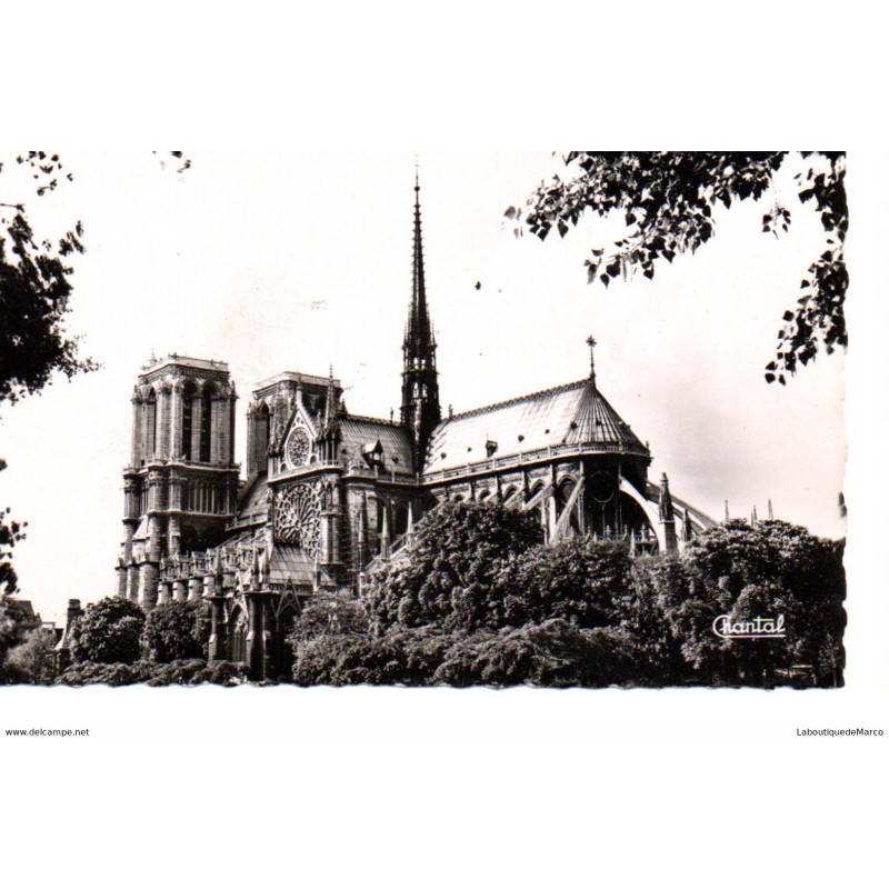 75 - Paris - Notre-Dame de Paris - Dos Divisé