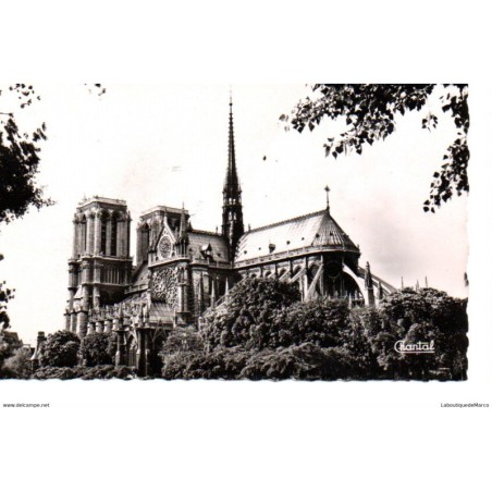 75 - Paris - Notre-Dame de Paris - Dos Divisé