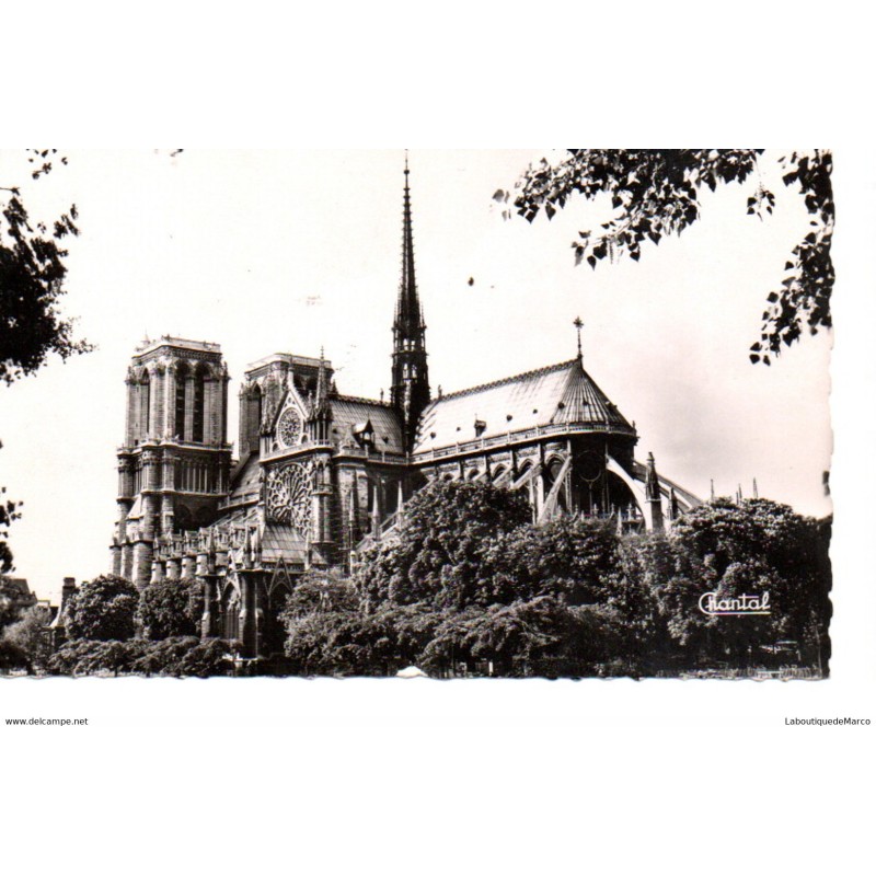 75 - Paris - Notre-Dame de Paris - Dos Divisé