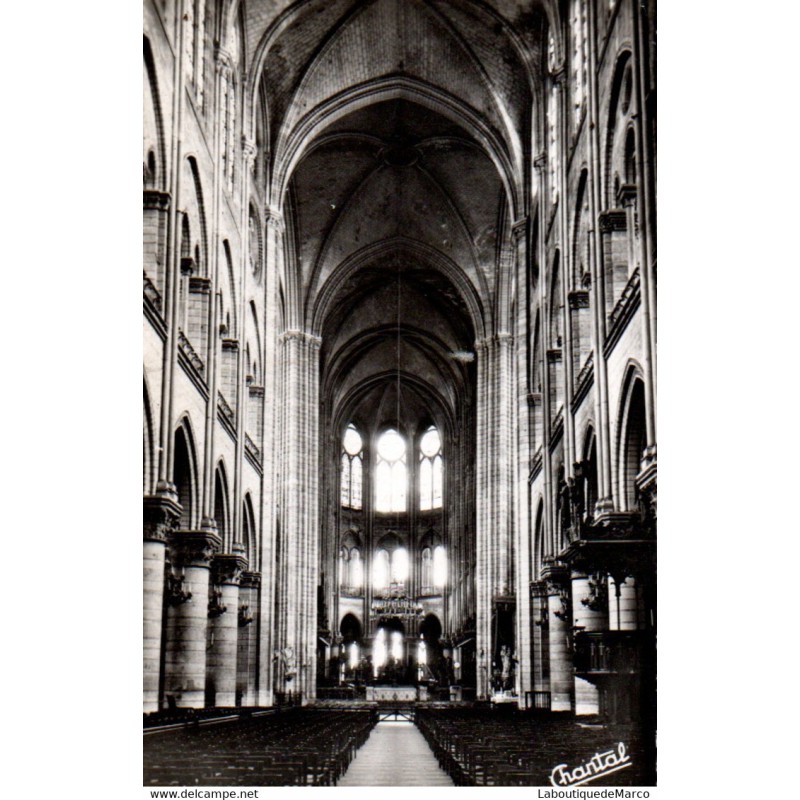 75 - Paris - Intérieur de la Cathédrale Notre-Dame - Dos Divisé