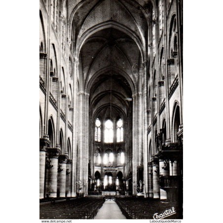 75 - Paris - Intérieur de la Cathédrale Notre-Dame - Dos Divisé