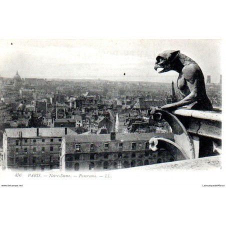 75 - Paris - Notre-Dame - Dos Divisé