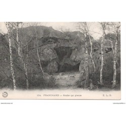 77 - Franchard - La Roche...