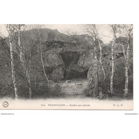77 - Franchard - La Roche qui pleure - Dos Divisé