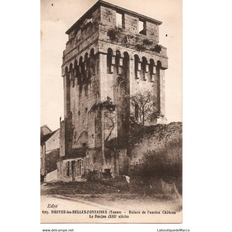 89 - Druyes-les-Belles-Fontaines - Ruines de l'ancien Château - Dos Divisé