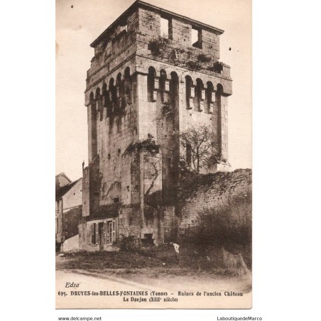 89 - Druyes-les-Belles-Fontaines - Ruines de l'ancien Château - Dos Divisé