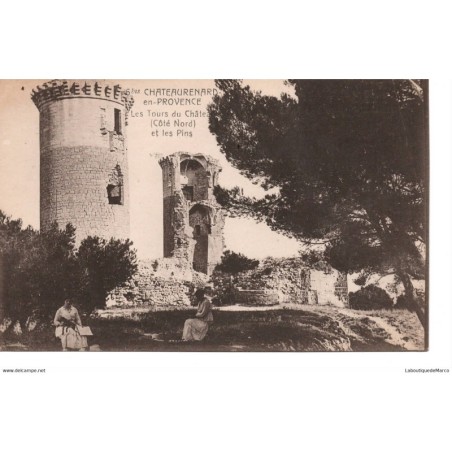 13 - Chateaurenard - Les Tours du Château et les Pins - Dos Divisé