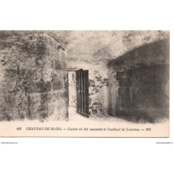 41 - Château de Blois - Le...